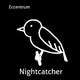 Nightcatcher